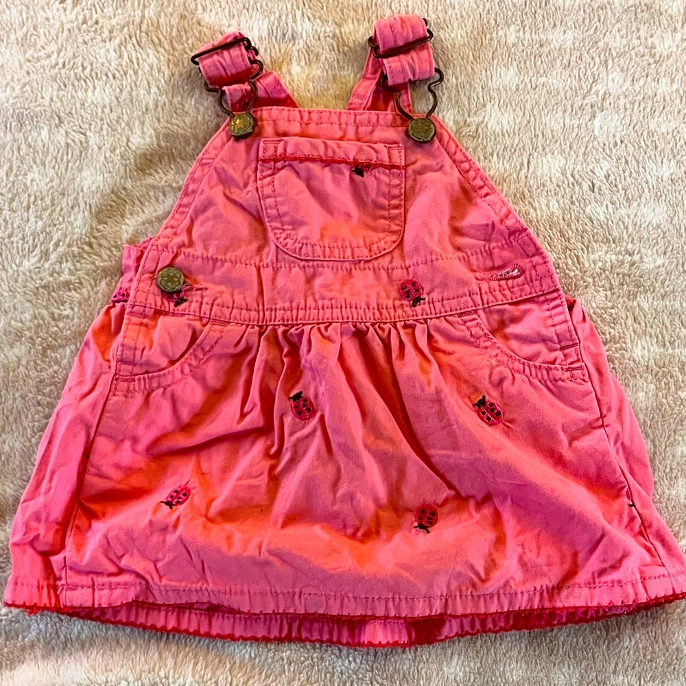 Ladybug Denim Overall Dress